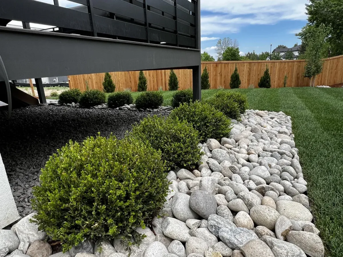 Side yard landscaping in Boulder, CO